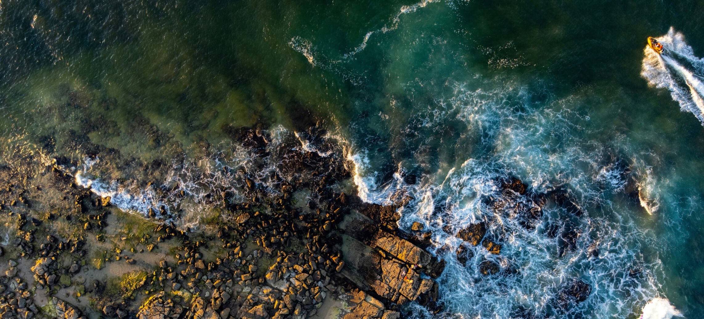 Whether you're a FinTech, financial institution, acquirer, or merchant&mdash;AMPF is here to help you simplify compliance, reduce risk, and scale smarter.