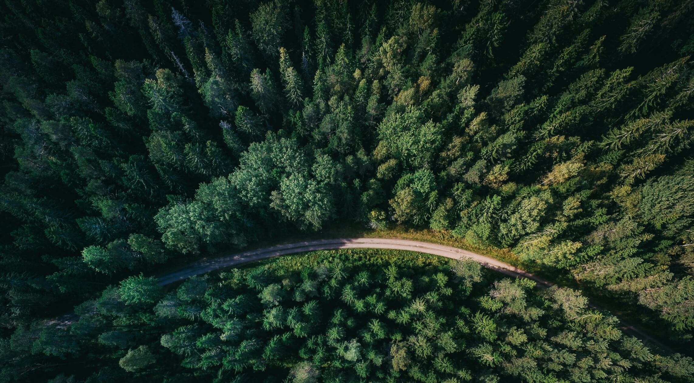 Whether you're a FinTech, financial institution, acquirer, or merchant&mdash;AMPF is here to help you simplify compliance, reduce risk, and scale smarter.